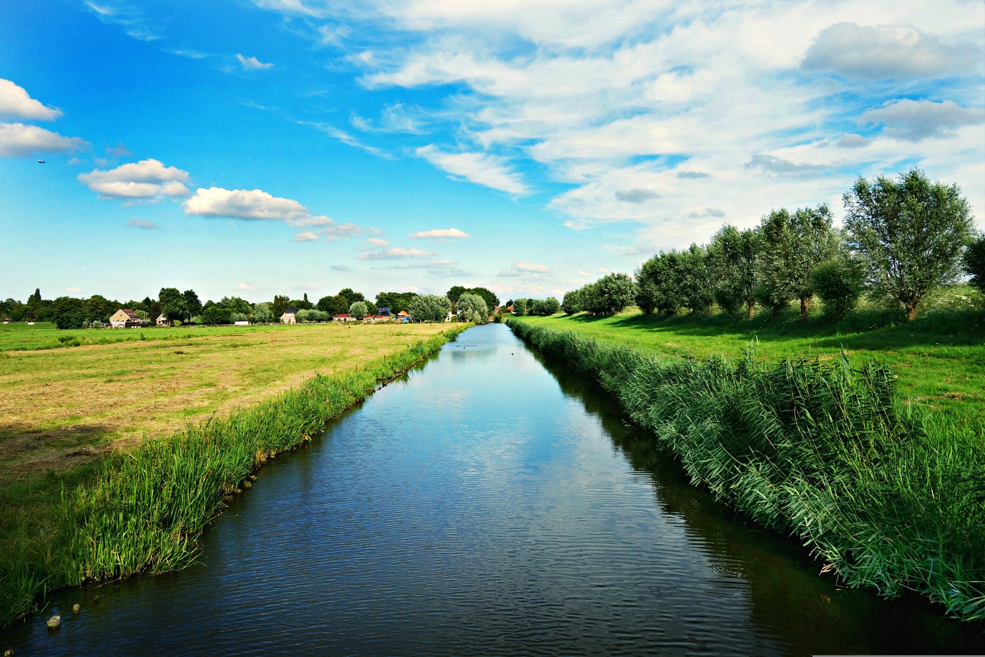 Projectleider-Basiskwaliteit-Natuur-voor-de-regio-Foodvalley - Projectleider-Basiskwaliteit-Natuur-voor-de-regio-Foodvalley_002